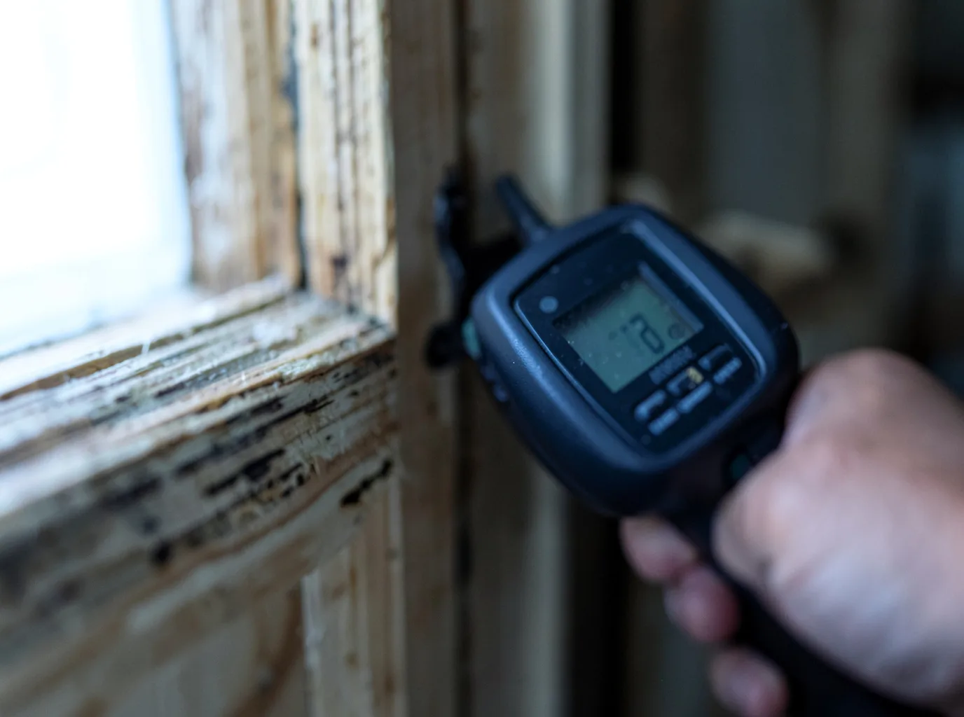 Moisture Inspection And Documentation in Waukee, IA